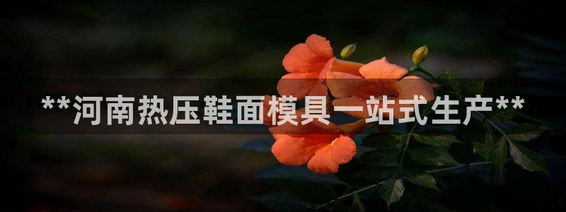 易倍单词app下载：**河南热压鞋面模具一站式生产**