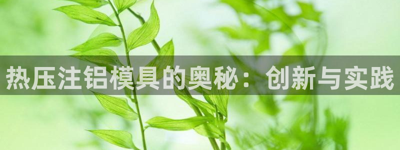 emc易倍在线登录：热压注铝模具的奥秘：创新与实践