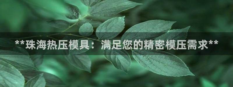 emc易倍网站是多少：**珠海热压模具：满足您的精密模压