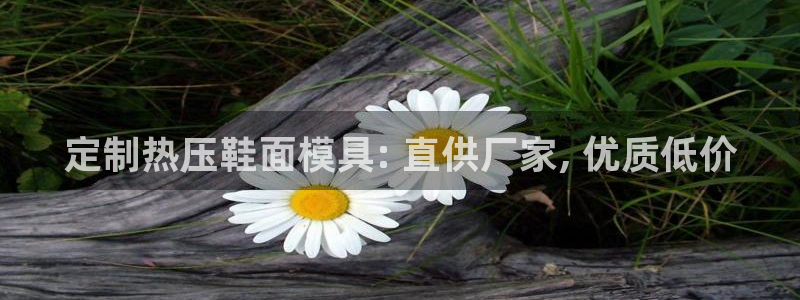 易倍易倍单词官方网站：定制热压鞋面模具: 直供厂家, 优