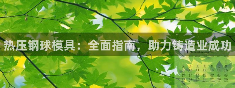 emc易倍首存500送球衣：热压钢球模具：全面指南，助力