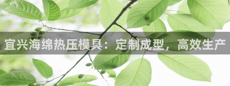 北京易倍思教育怎么样：宜兴海绵热压模具：定制成型，高效生
