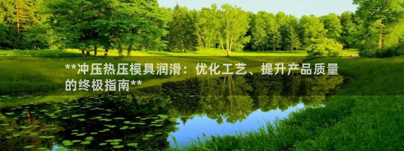 易倍申医保报销：**冲压热压模具润滑：优化工艺、提升产品