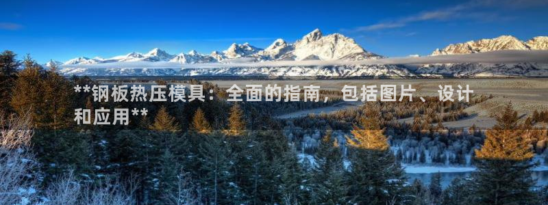 emc倍频超了：**钢板热压模具：全面的指南，包括图片、