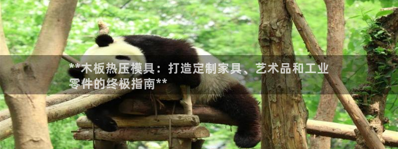 易倍申多少钱一盒：**木板热压模具：打造定制家具、艺术品
