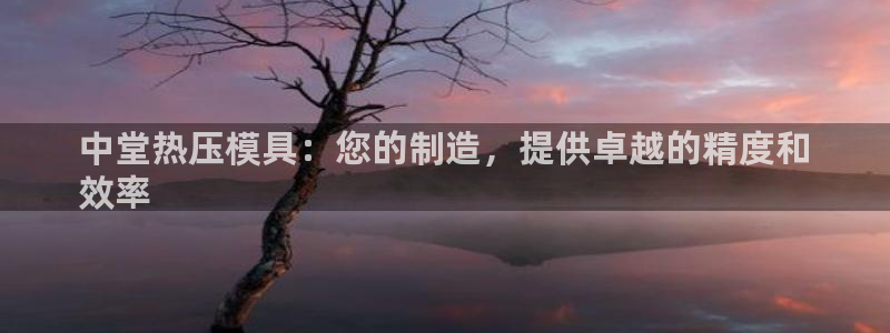 易倍申片的副作用：中堂热压模具：您的制造，提供卓越的精度