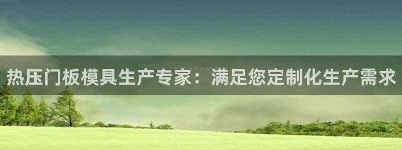 易倍网络技术有限公司官网：热压门板模具生产专家：满足您定