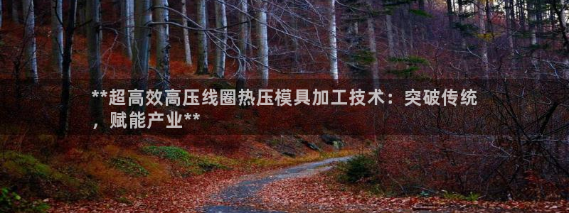 emc软件下载：**超高效高压线圈热压模具加工技术：突破