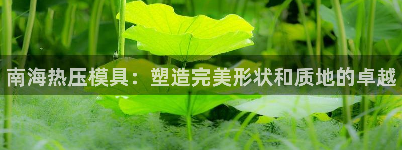 emc mcu：南海热压模具：塑造完美形状和质地的卓越