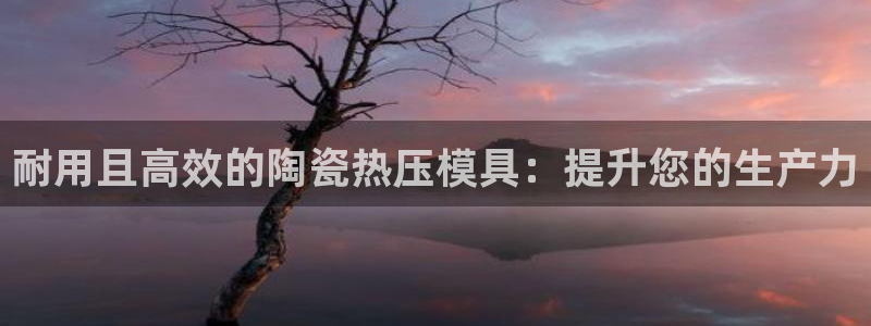 易倍申不良反应：耐用且高效的陶瓷热压模具：提升您的生产力