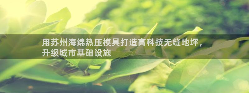 易倍emc全站：用苏州海绵热压模具打造高科技无缝地坪，
