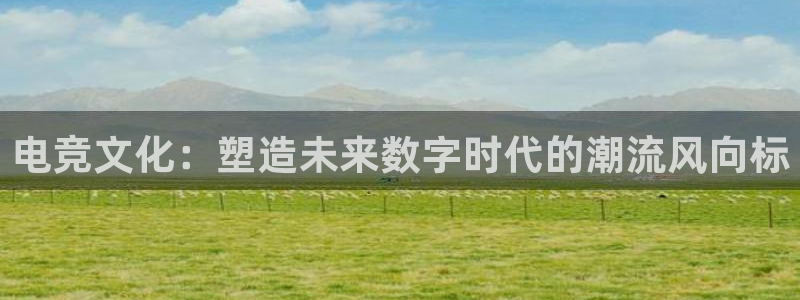 南宫电竞贴吧：电竞文化：塑造未来数字时代的潮流风向标