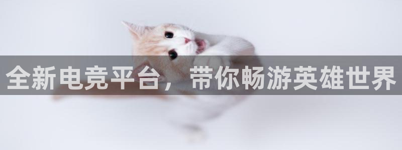 南宫电竞官网：全新电竞平台，带你畅游英雄世界