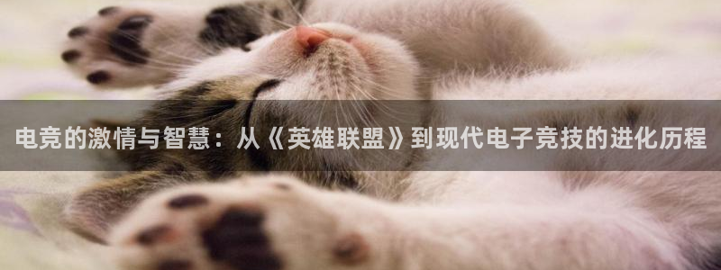 南宫电竞官网