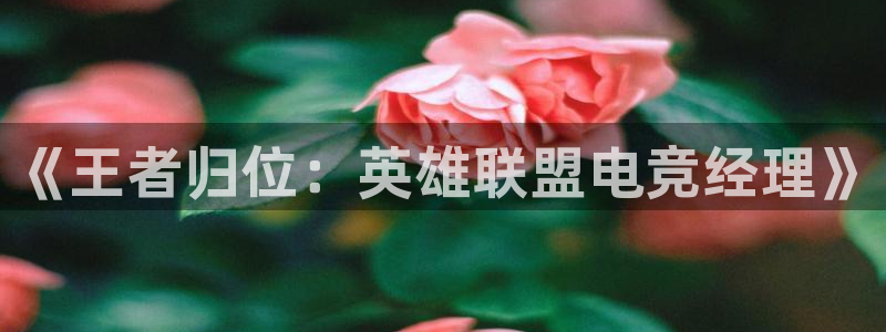 南宫电竞登陆：《王者归位：英雄联盟电竞经理》