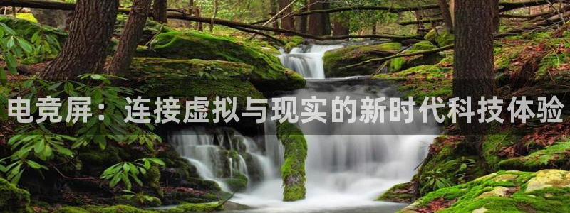 南宫电竞app