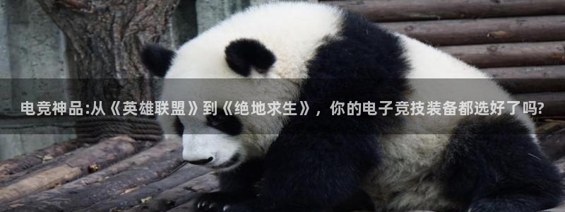 南宫电竞网