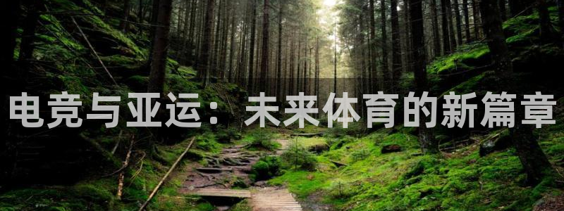 南宫电竞贴吧：电竞与亚运：未来体育的新篇章
