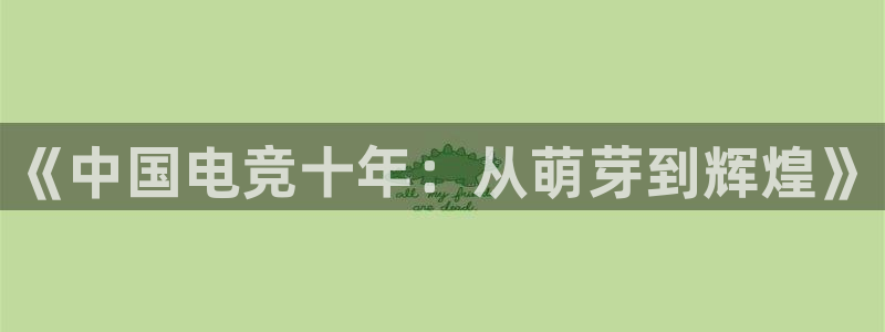 南宫电竞官网：《中国电竞十年：从萌芽到辉煌》