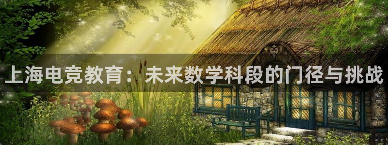 南宫电竞app