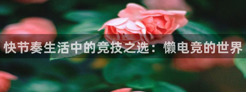 南宫电竞：快节奏生活中的竞技之选：懒电竞的世界