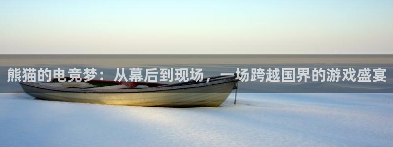 南宫电竞登陆：熊猫的电竞梦：从幕后到现场，一场跨越国界的游戏盛宴