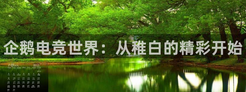 南宫电竞网：企鹅电竞世界：从稚白的精彩开始