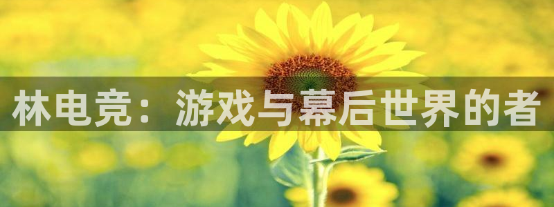 南宫电竞app：林电竞：游戏与幕后世界的者