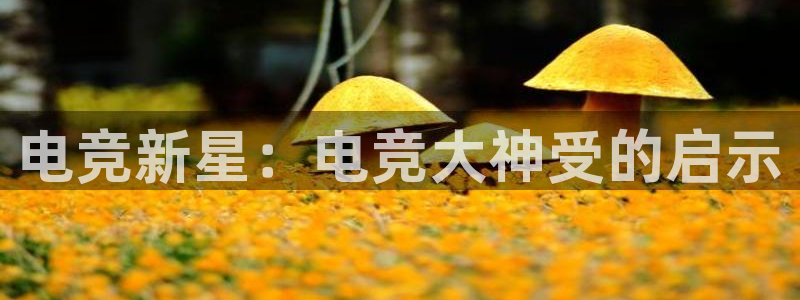 南宫电竞平台