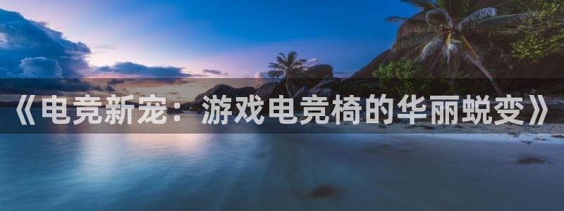 南宫电竞平台：《电竞新宠：游戏电竞椅的华丽蜕变》