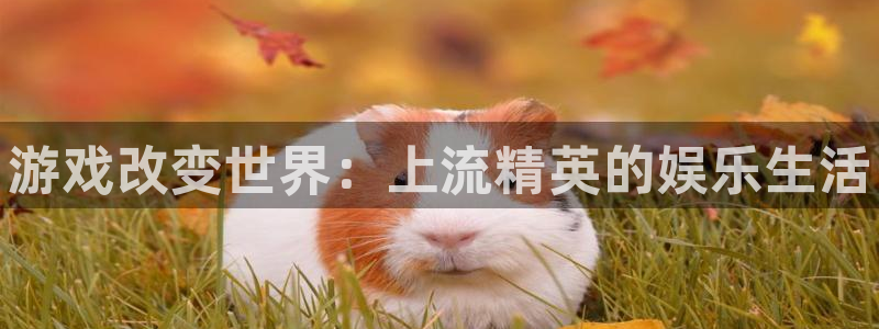 南宫电竞：游戏改变世界：上流精英的娱乐生活