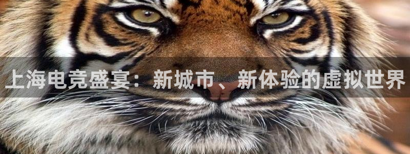 南宫电竞注册：上海电竞盛宴：新城市、新体验的虚拟世界