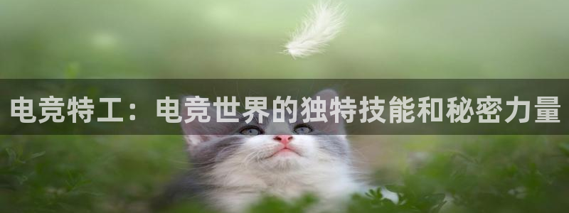 南宫电竞官网：电竞特工：电竞世界的独特技能和秘密力量