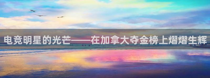 南宫电竞平台：电竞明星的光芒——在加拿大夺金榜上熠熠生辉