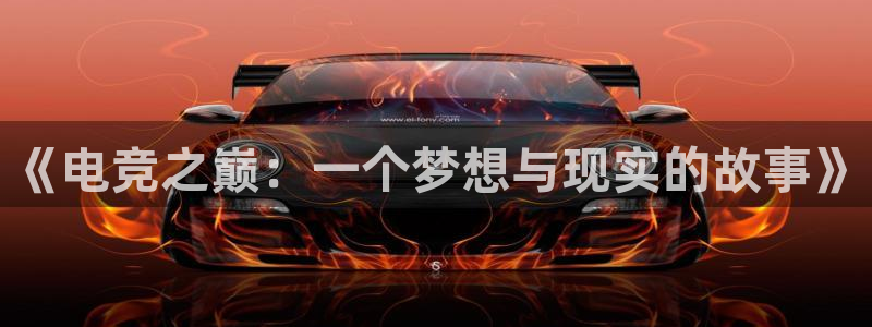 南宫电竞官网：《电竞之巅：一个梦想与现实的故事》