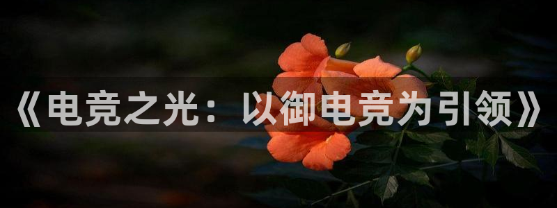 南宫电竞官网：《电竞之光：以御电竞为引领》