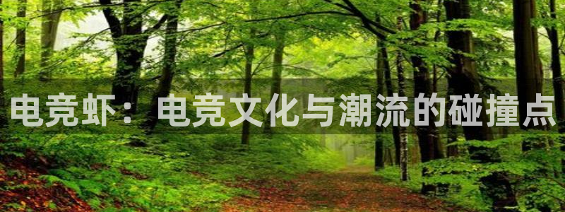 南宫电竞贴吧：电竞虾：电竞文化与潮流的碰撞点