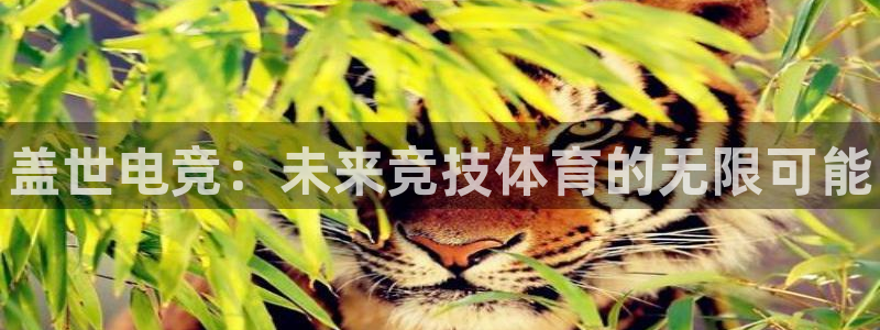 南宫电竞网：盖世电竞：未来竞技体育的无限可能