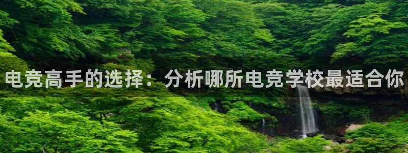 南宫电竞登陆：电竞高手的选择：分析哪所电竞学校最适合你
