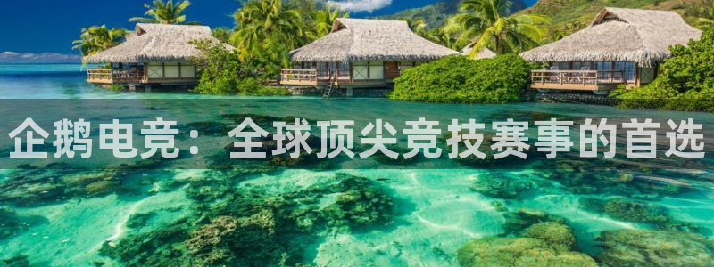 南宫电竞注册：企鹅电竞：全球顶尖竞技赛事的首选