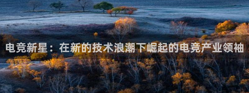 南宫电竞app：电竞新星：在新的技术浪潮下崛起的电竞产业领袖