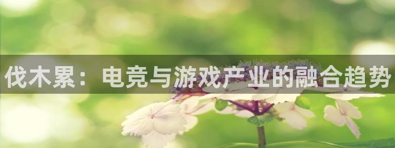 南宫电竞贴吧：伐木累：电竞与游戏产业的融合趋势