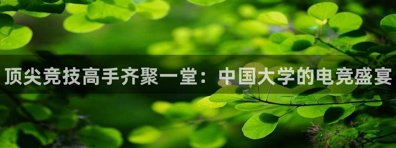 南宫电竞贴吧：顶尖竞技高手齐聚一堂：中国大学的电竞盛宴