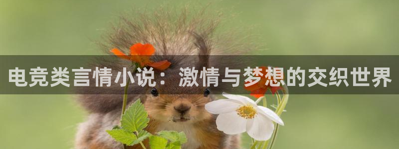 南宫电竞平台：电竞类言情小说：激情与梦想的交织世界
