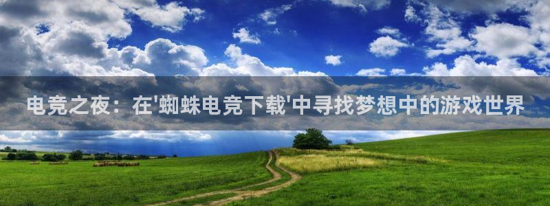 南宫电竞app：电竞之夜：在\'蜘蛛电竞下载\'中寻找梦想中的游戏世界