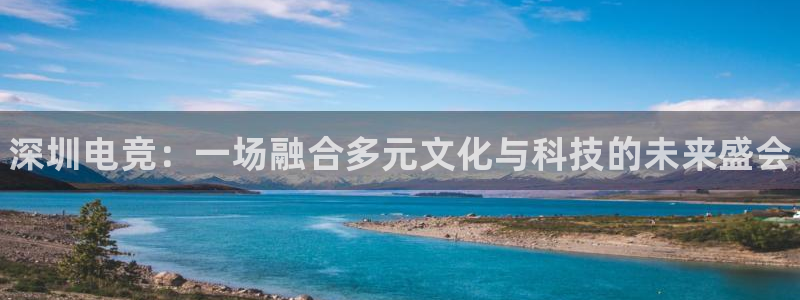南宫电竞app：深圳电竞：一场融合多元文化与科技的未来盛会