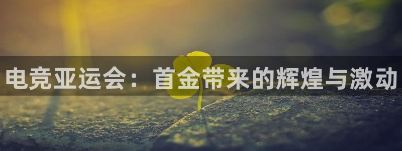 南宫电竞app：电竞亚运会：首金带来的辉煌与激动