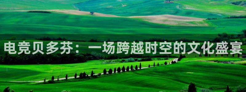 南宫电竞登陆：电竞贝多芬：一场跨越时空的文化盛宴