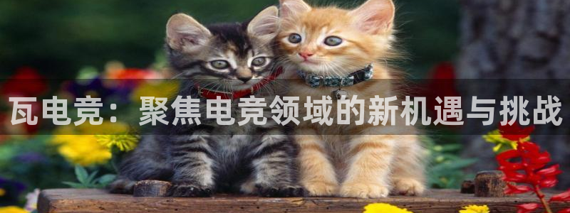 南宫电竞官网：瓦电竞：聚焦电竞领域的新机遇与挑战