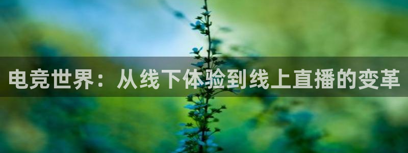 南宫电竞平台：电竞世界：从线下体验到线上直播的变革